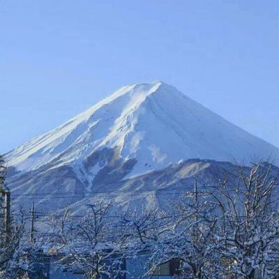 和火柴人一起攻克难关手机版(暂未上线)v1.0 安卓版