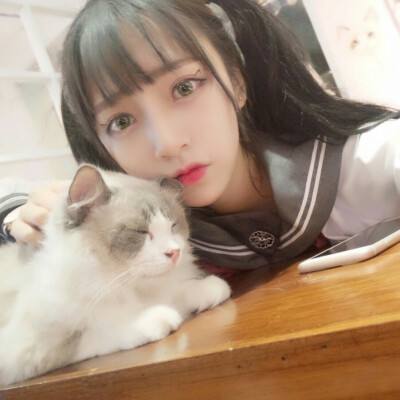 凤凰令bt版下载